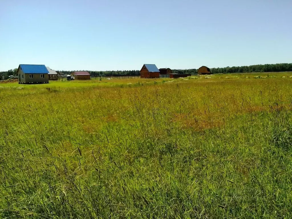 Участок в Новгородская область, Шимский район, Подгощское с/пос, д. ... - Фото 1