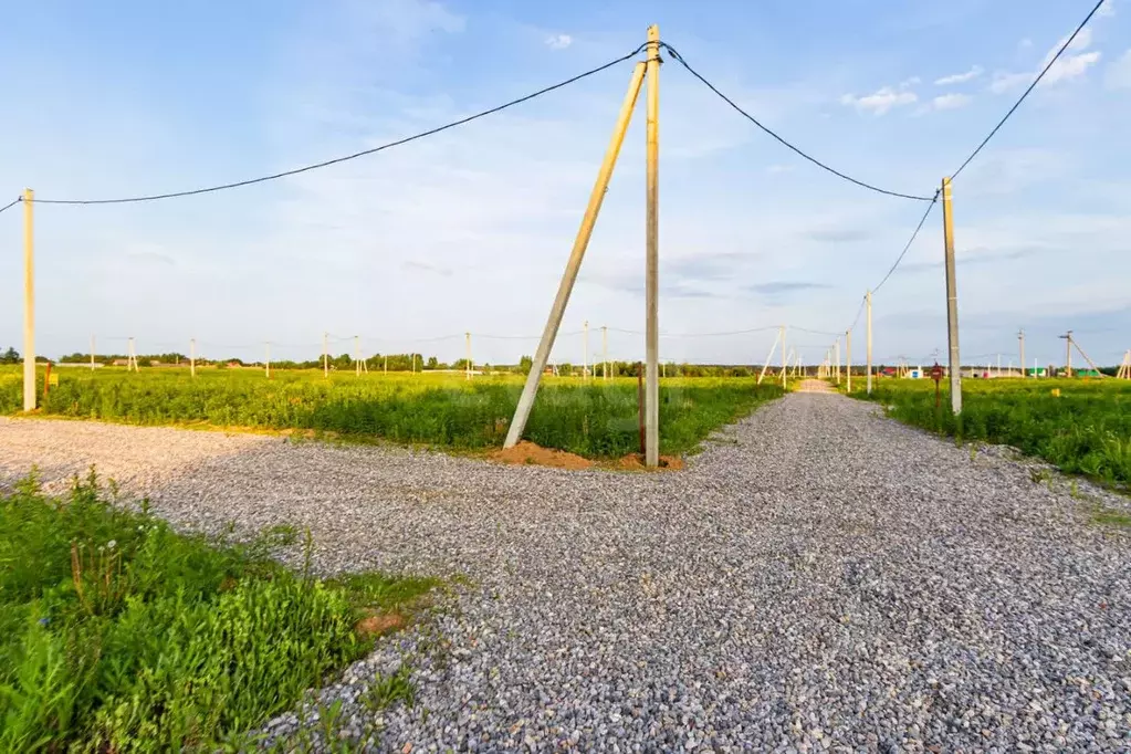 Участок в Свердловская область, Тугулымский муниципальный округ, с. ... - Фото 1