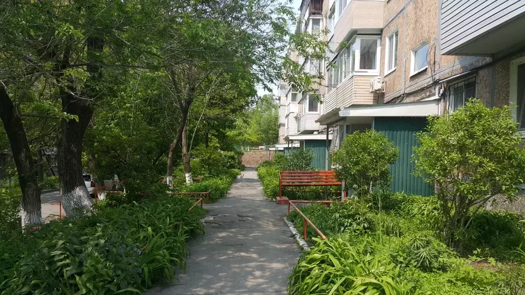 1-к кв. Приморский край, Владивосток Енисейская ул., 14 (31.8 м) - Фото 1