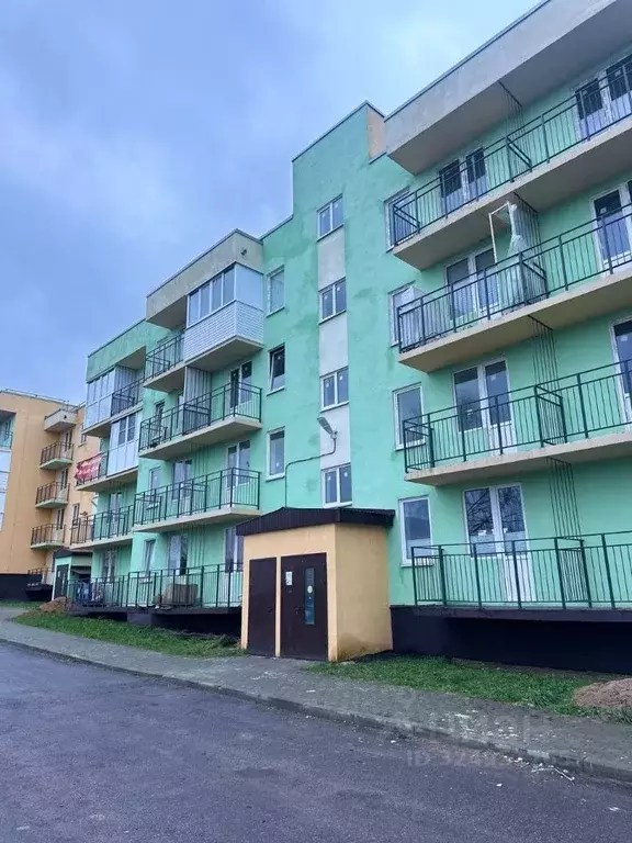 Студия Ленинградская область, Гатчинский муниципальный округ, пос. ... - Фото 1