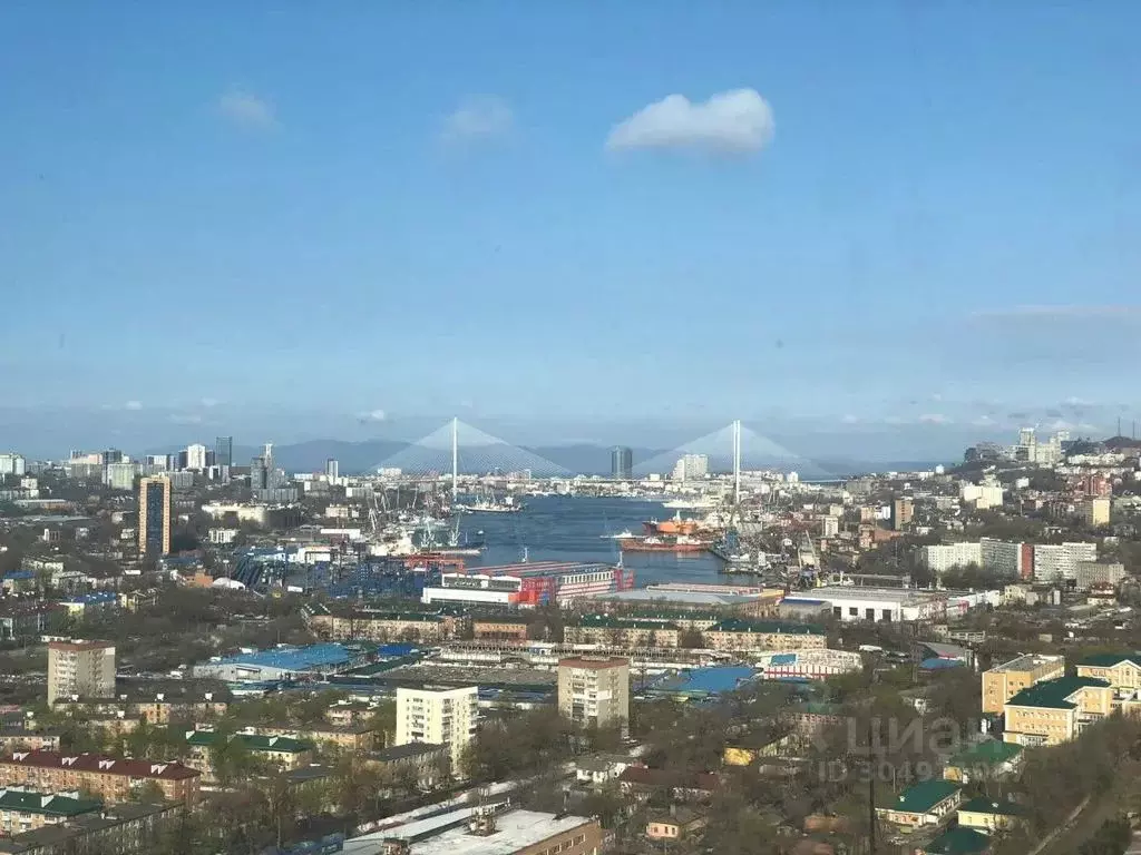 1-к кв. Приморский край, Владивосток Стрелковая ул., 18к1 (25.0 м) - Фото 2