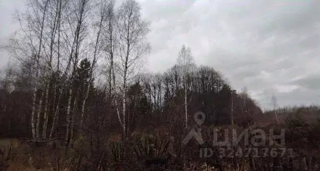 Участок в Московская область, Серпухов городской округ, пос. Новоселки ... - Фото 1