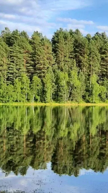 Дом в Иркутская область, Иркутский муниципальный округ, Солнечный-1 ... - Фото 2