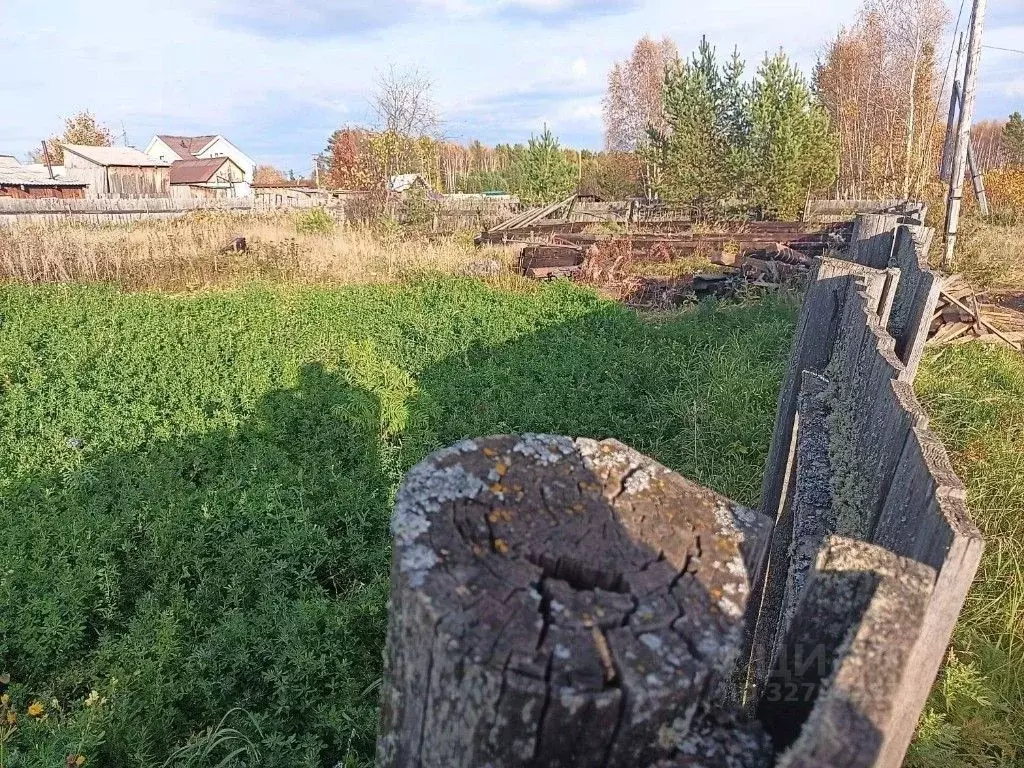 Участок в Иркутская область, Братский район, Зябинское муниципальное ... - Фото 2