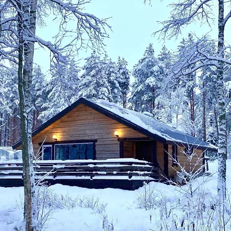 Дом в Карелия, Пряжинский район, Эссойльское с/пос, Кишкойла тер.  (80 ... - Фото 2