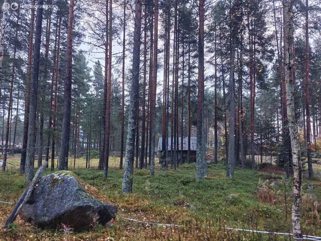 Участок в Медвежьегорск, Восточный район (7 м) - Фото 1