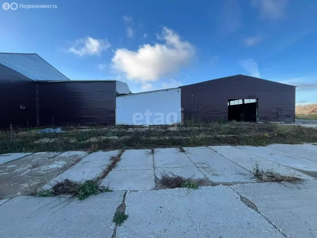 Помещение свободного назначения (465 м) - Фото 0
