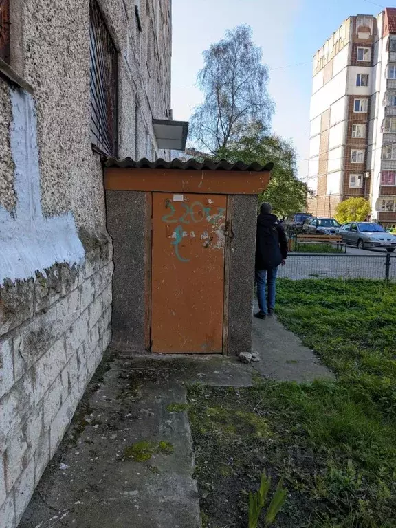Помещение свободного назначения в Калининградская область, Балтийск ... - Фото 0