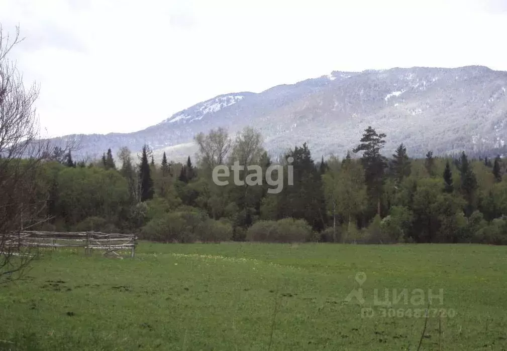 Участок в Алтай, Чойский район, с. Салганда  (25.0 сот.) - Фото 0