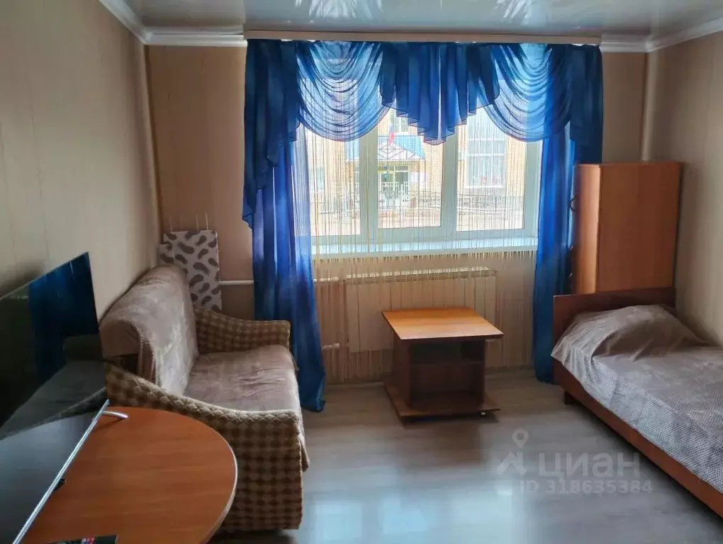1-к кв. Нижегородская область, с. Дивеево ул. Чкалова, 3 (23.0 м) - Фото 0