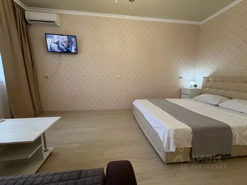 1-к кв. Адыгея, Майкоп Степная ул., 170 (42.0 м) - Фото 1