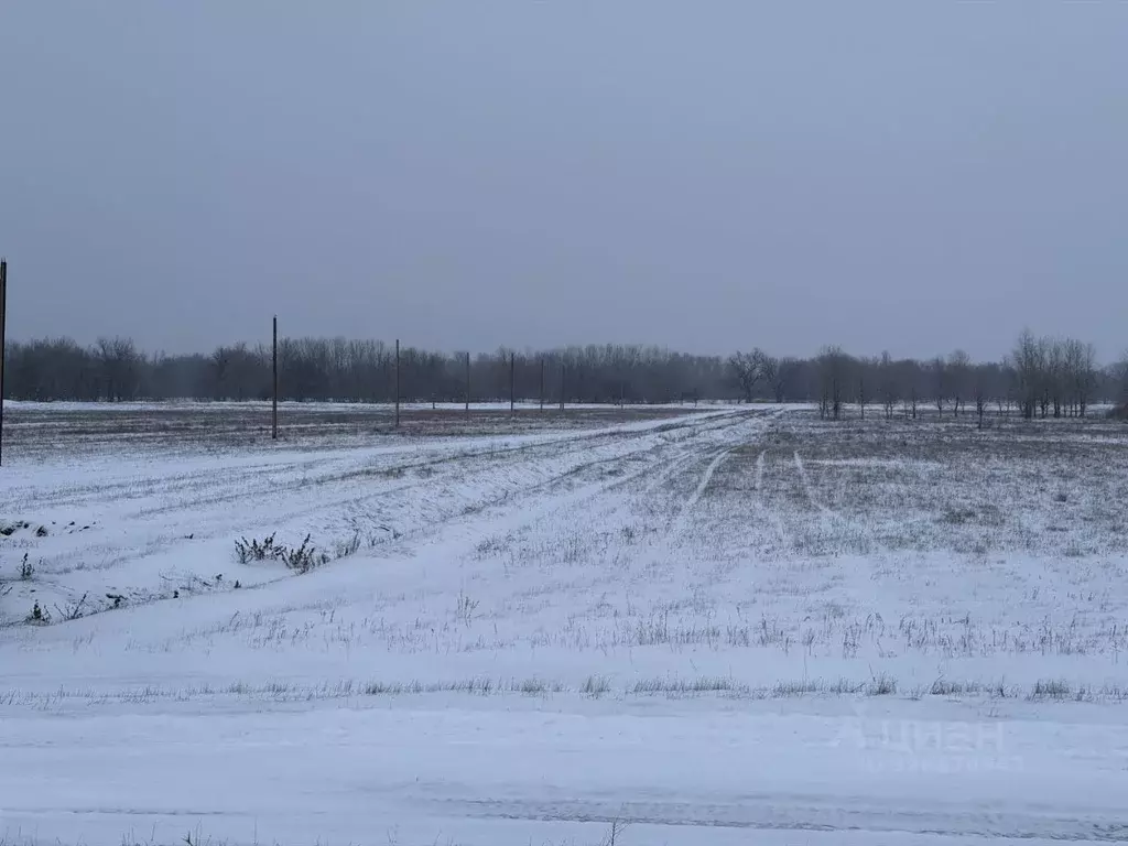 Участок в Волгоградская область, Среднеахтубинский район, Клетское ... - Фото 1