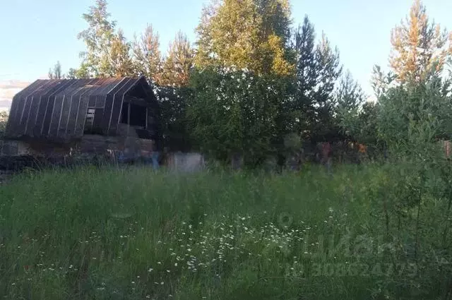 Дом в Ханты-Мансийский АО, Сургут Виктория садовое товарищество,  (40 ... - Фото 0