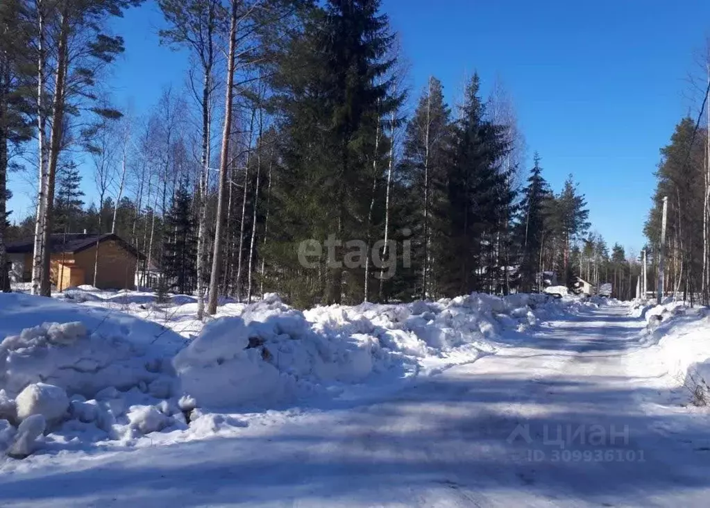 Участок в Ленинградская область, Всеволожское городское поселение, ... - Фото 0