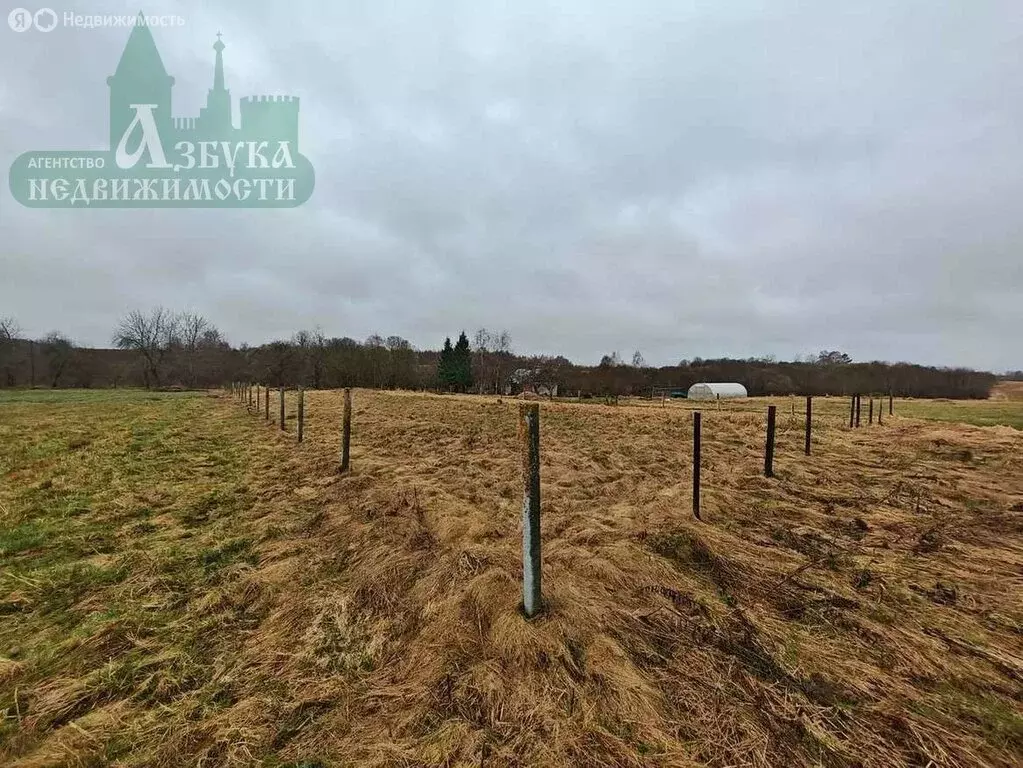Участок в Смоленский муниципальный округ, деревня Рязаново (Хохловское ... - Фото 1