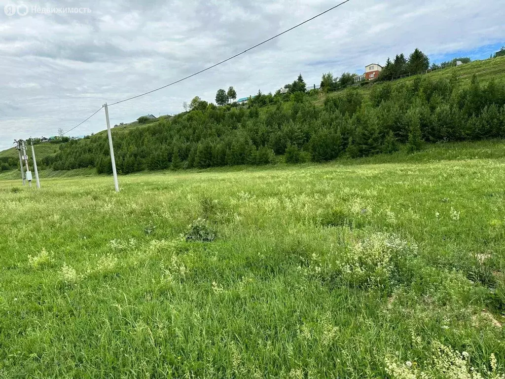 Участок в Республика Татарстан, муниципальное образование Арск, село ... - Фото 1