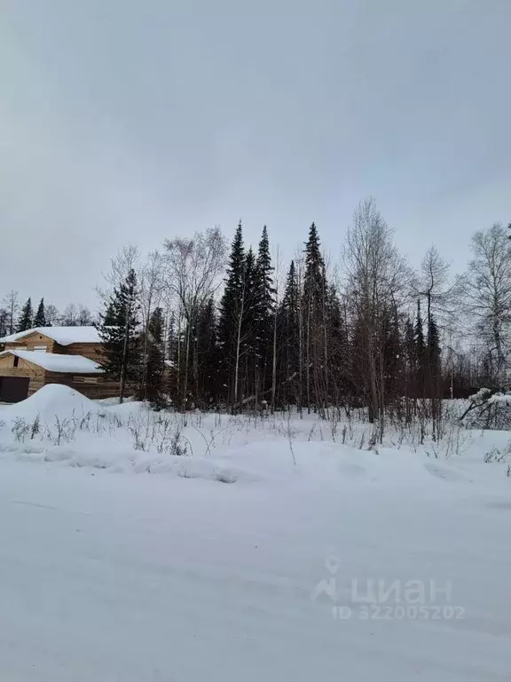 Участок в Иркутская область, Усть-Илимск ул. Ровесников (15.0 сот.) - Фото 1
