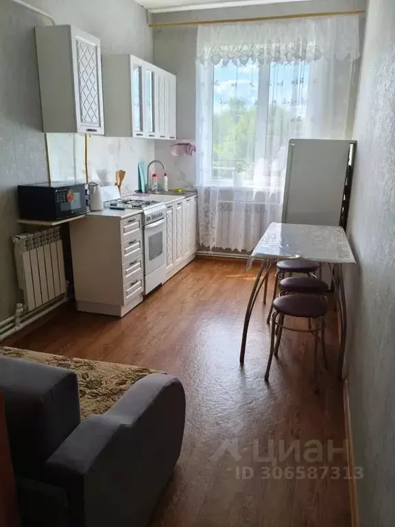 1-к кв. Нижегородская область, с. Большое Болдино ул. Мира, 52 (32.0 ... - Фото 1