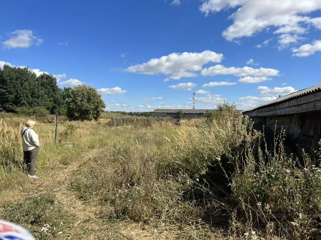 Участок в Пензенская область, Мокшан городское поселение, пос. Красное ... - Фото 1