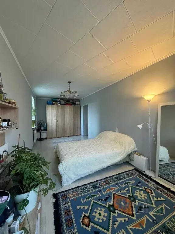 2-к кв. Владимирская область, Владимир ул. Белоконской, 16 (61.9 м) - Фото 1