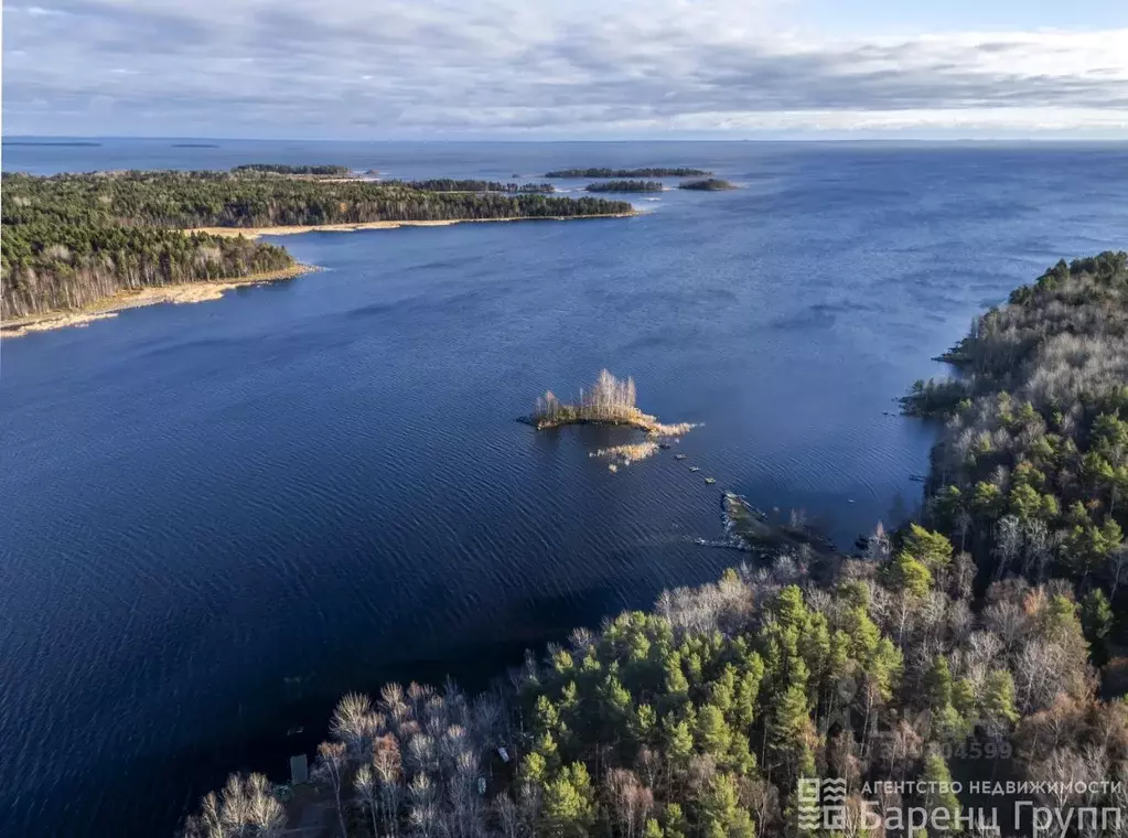 Дом в Карелия, Прионежский район, Заозерское с/пос, Сампо СНТ ул. ... - Фото 1
