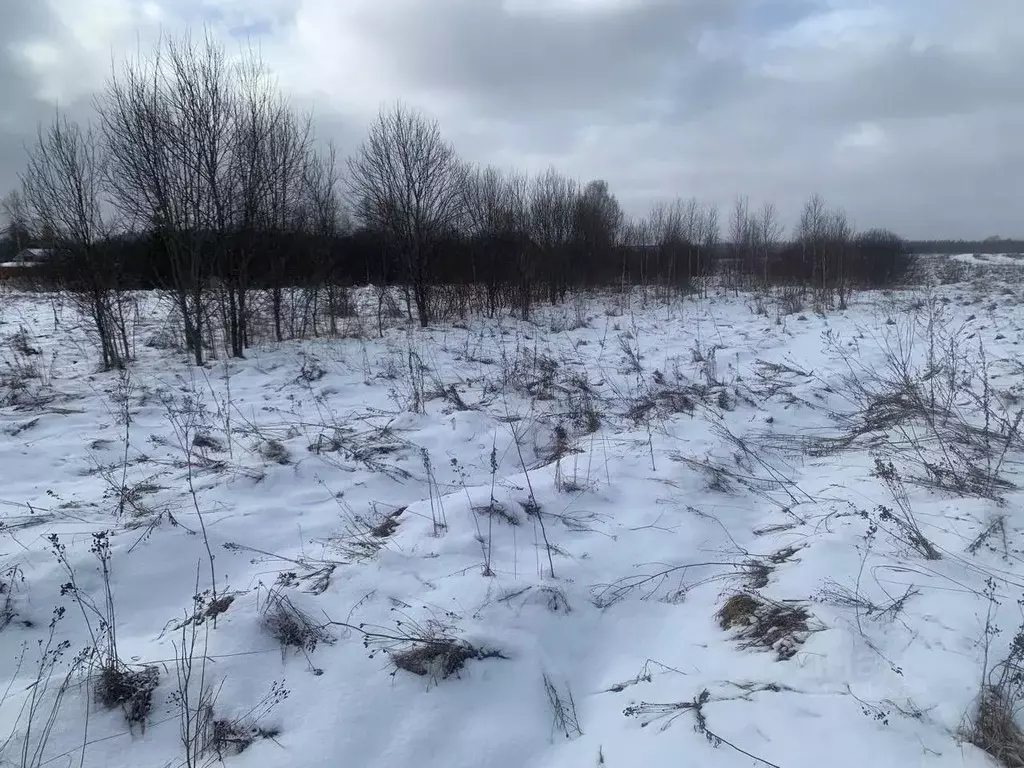 Участок в Московская область, Истра муниципальный округ, д. Чаново  ... - Фото 0