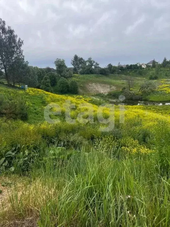 Участок в Брянская область, Брянский район, Добрунское с/пос, с. ... - Фото 1