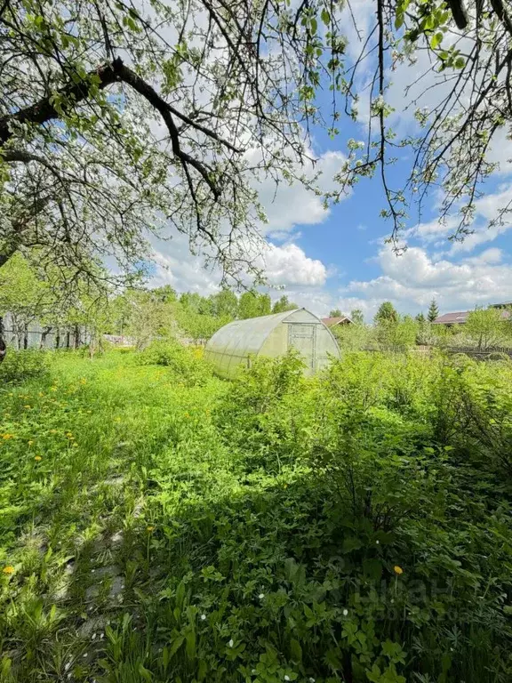 Участок в Московская область, Одинцовский городской округ, д. ... - Фото 2