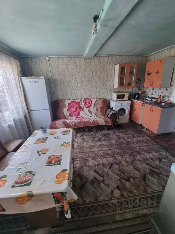 Дом в Алтайский край, Павловский район, с. Павловск ул. Раевского, 24 ... - Фото 1