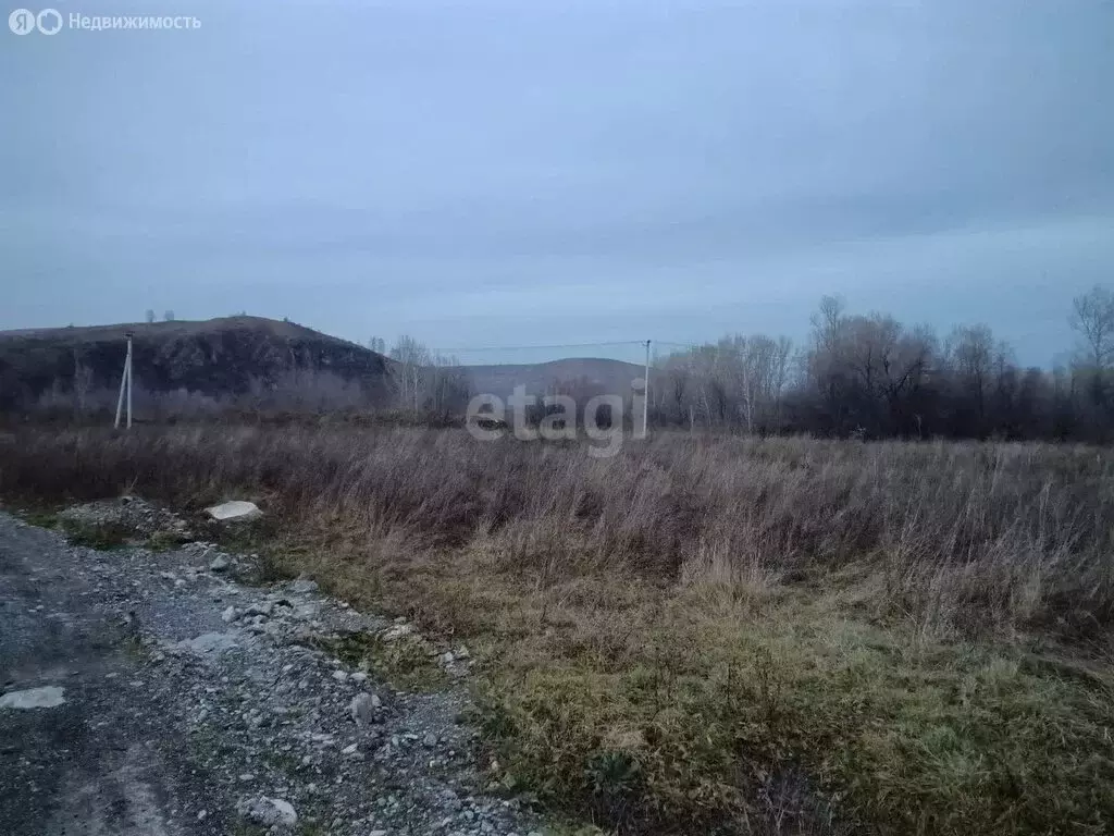 Участок в Алтайский район, село Ая (20 м) - Фото 1