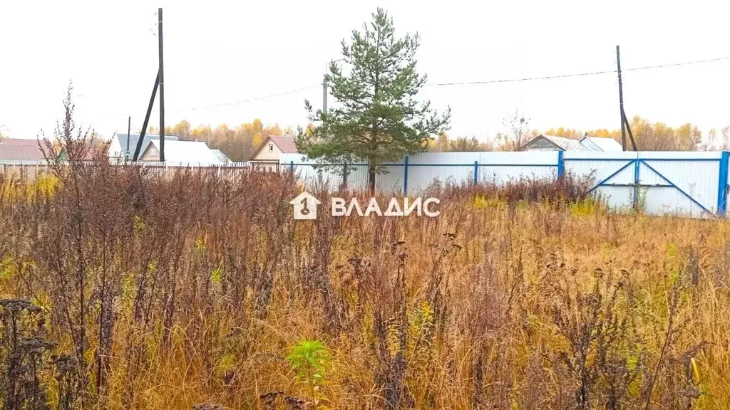 Участок в Владимирская область, Камешковский муниципальный округ, пос. ... - Фото 1