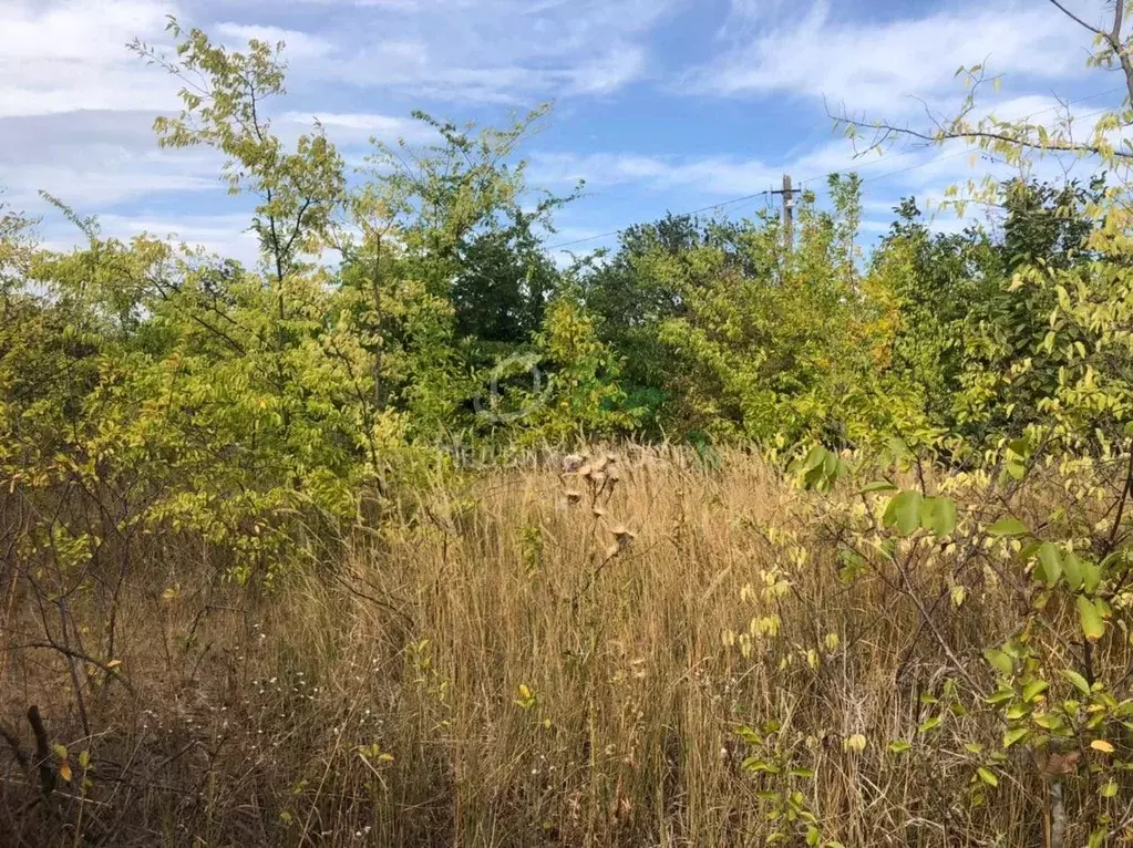 Участок в Краснодарский край, Ейское городское поселение, пос. ... - Фото 1