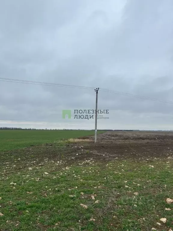 Участок в Крым, Сакский район, Ромашкинское с/пос, с. Колоски  (1.0 ... - Фото 2