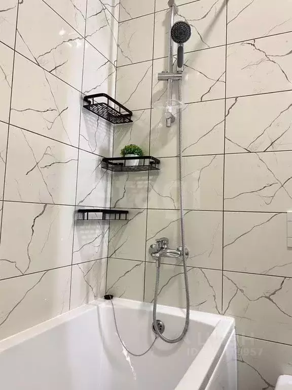 Студия Новосибирская область, Новосибирск Красный просп., 104 (44.0 м) - Фото 2