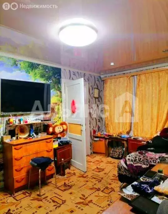 3-комнатная квартира: посёлок Двубратский, Вокзальная улица, 1 (46.9 ... - Фото 2