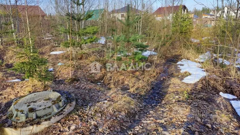 Участок в Ленинградская область, Всеволожский район, Агалатовское ... - Фото 1