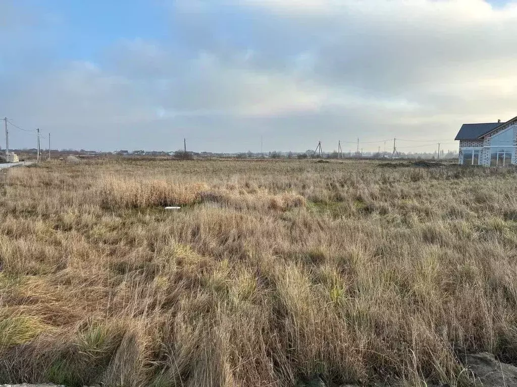 Участок в Калининградская область, Зеленоградский муниципальный округ, ... - Фото 2