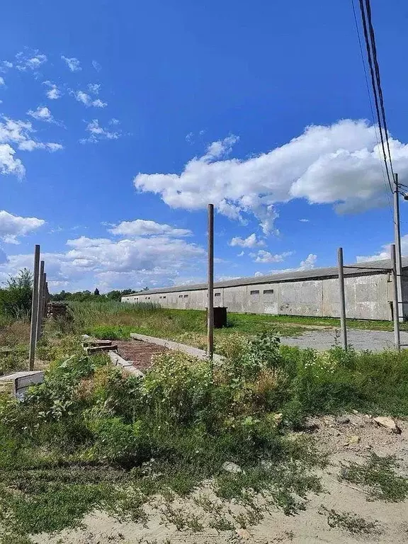 Склад в Ростовская область, Ростов-на-Дону Совхозная ул., 2литА (13455 ... - Фото 1