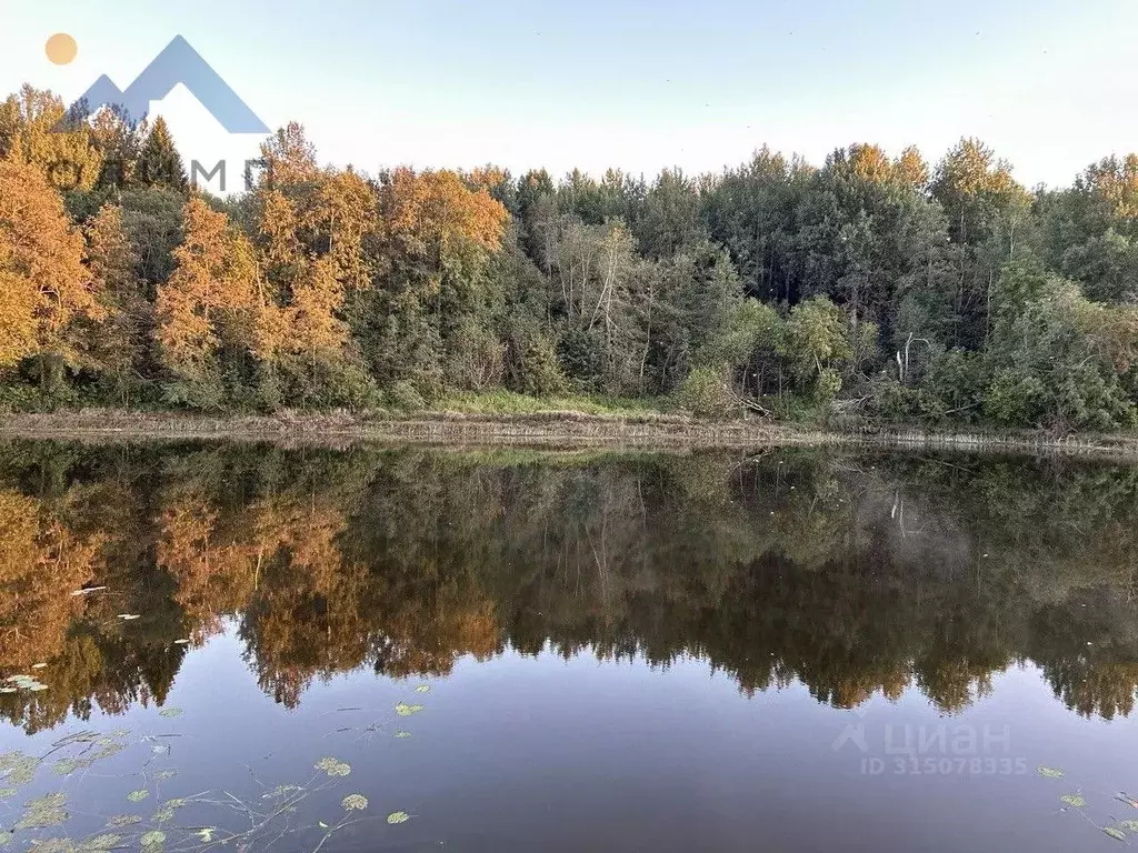 Участок в Вологодская область, д. Мольбища ул. Солнечная (22.0 сот.) - Фото 0