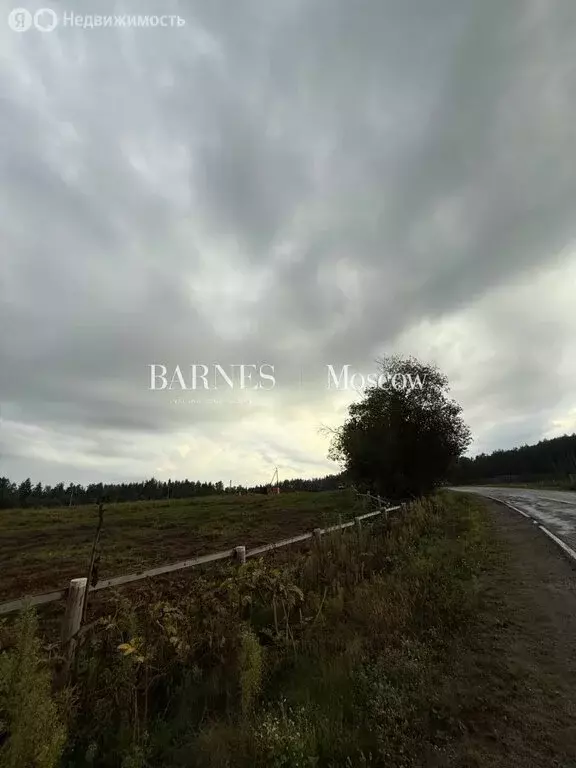 Участок в Выборгский район, Рощинское городское поселение, территория ... - Фото 1