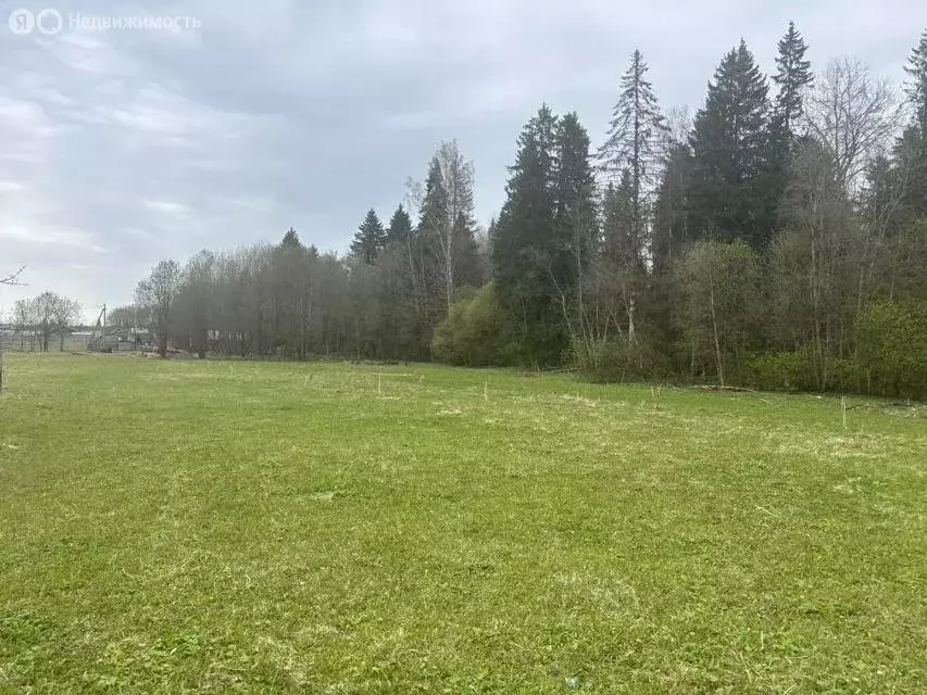 Участок в Волосовский район, Калитинское сельское поселение, деревня ... - Фото 2