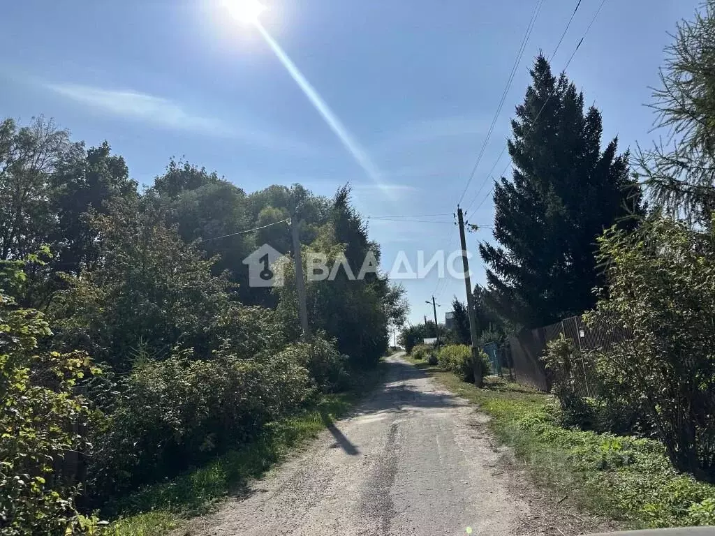 Участок в Владимирская область, Суздальский район, Новоалександровское ... - Фото 1