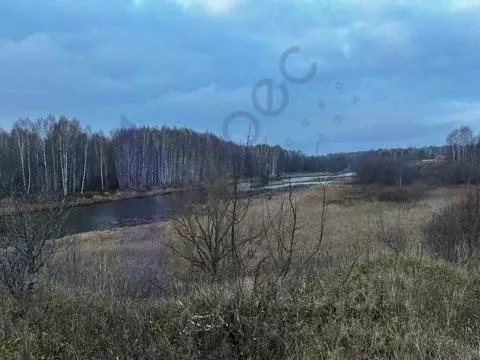 Участок в Нижегородская область, Сокольский муниципальный округ, д. ... - Фото 1