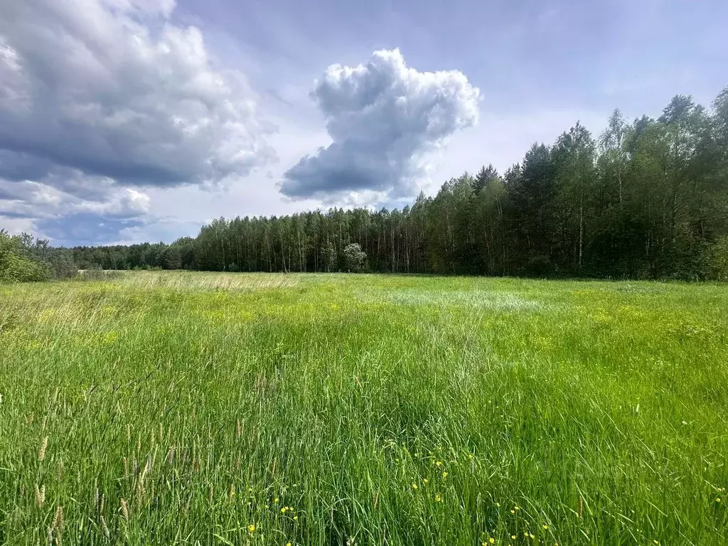 Участок в Московская область, Богородский городской округ, д. Тимково ... - Фото 0