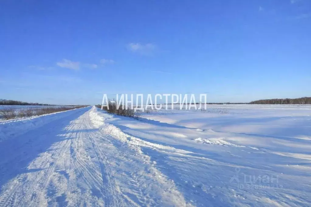 Участок в Московская область, Подольск городской округ, д. Дмитрово 19 ... - Фото 1