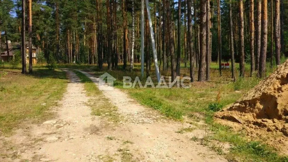 Участок в Владимирская область, Судогодский район, с. Спас-Купалище ... - Фото 1
