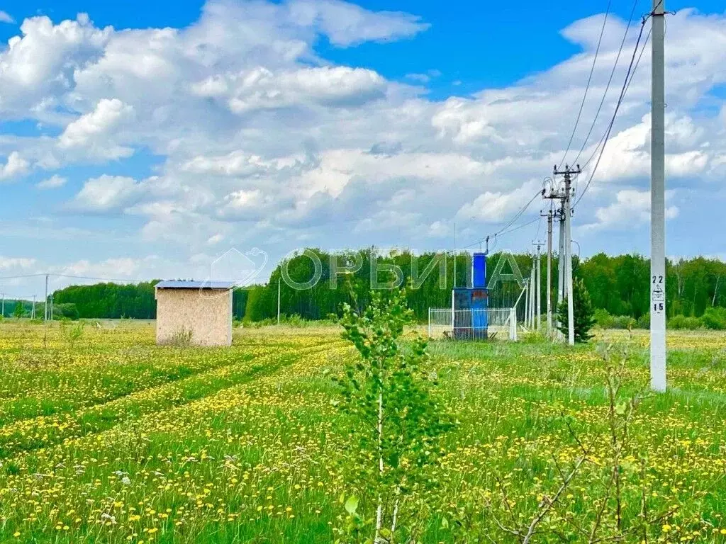 Участок в Тюменская область, Тюменский район, с. Горьковка Сибирская ... - Фото 1
