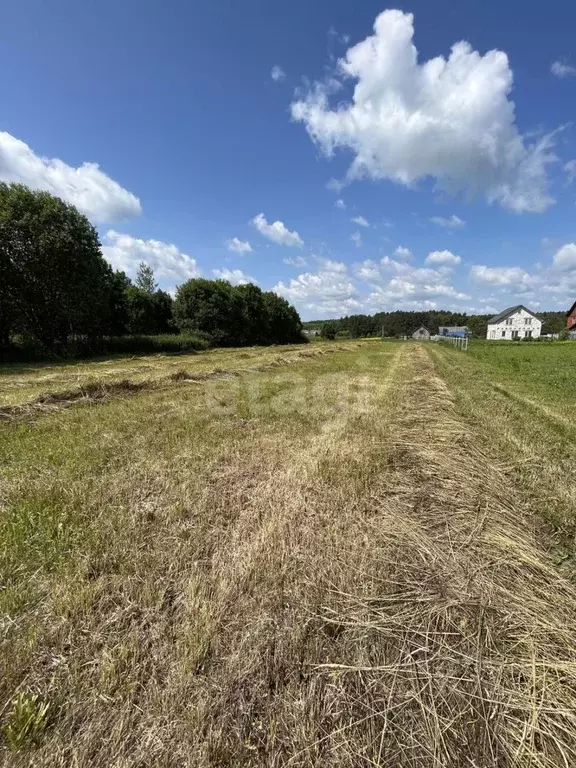 Участок в Калужская область, Дзержинский район, Дворцы с/пос, д. ... - Фото 2