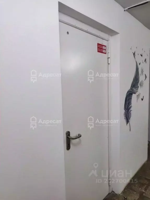 Офис в Волгоградская область, Волгоград Жилгородок мкр, ул. Маршала ... - Фото 1