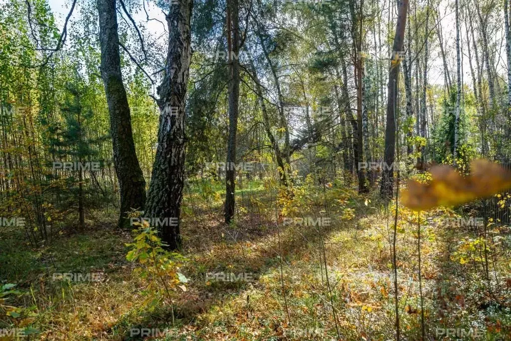 Участок в Московская область, Одинцовский городской округ, с. ... - Фото 1